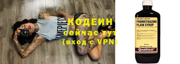 бошки Гусь-Хрустальный