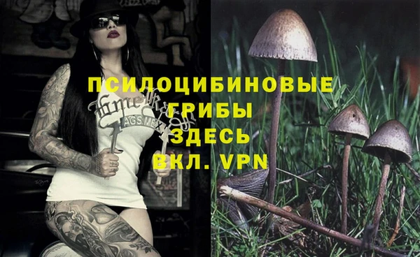 бошки Гусь-Хрустальный