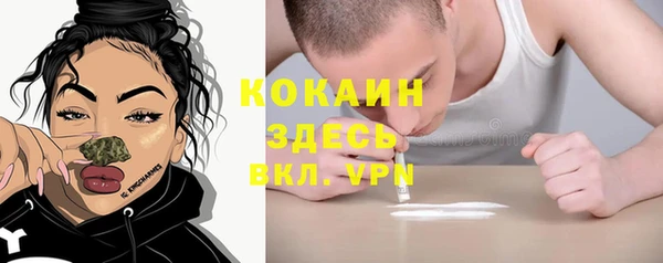 бошки Гусь-Хрустальный