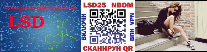где купить наркотик  Бердск  ЛСД экстази ecstasy 